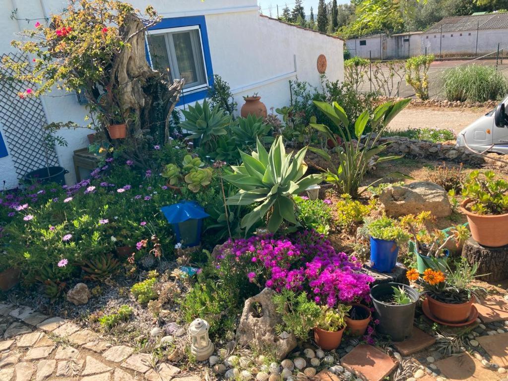 Casa Aleg Villa Albufeira Ngoại thất bức ảnh